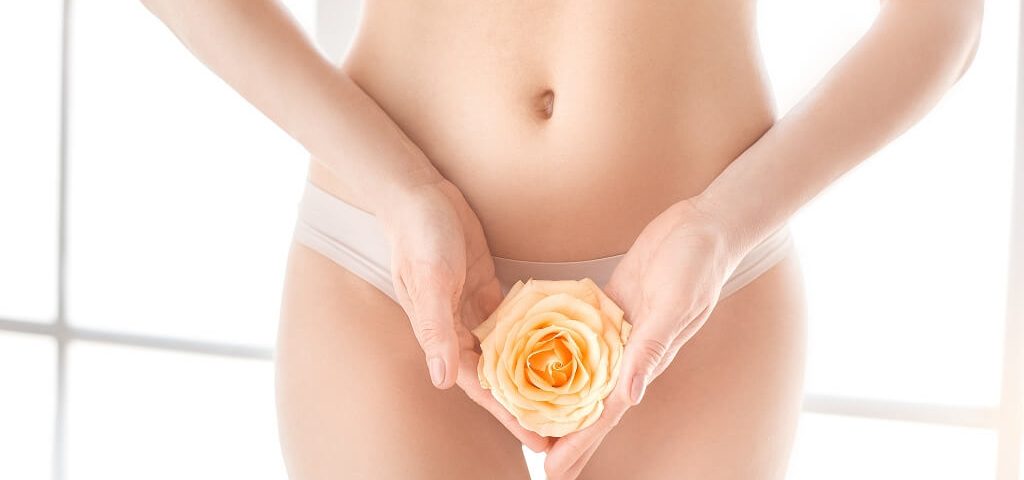 Korekcija stidnih usana